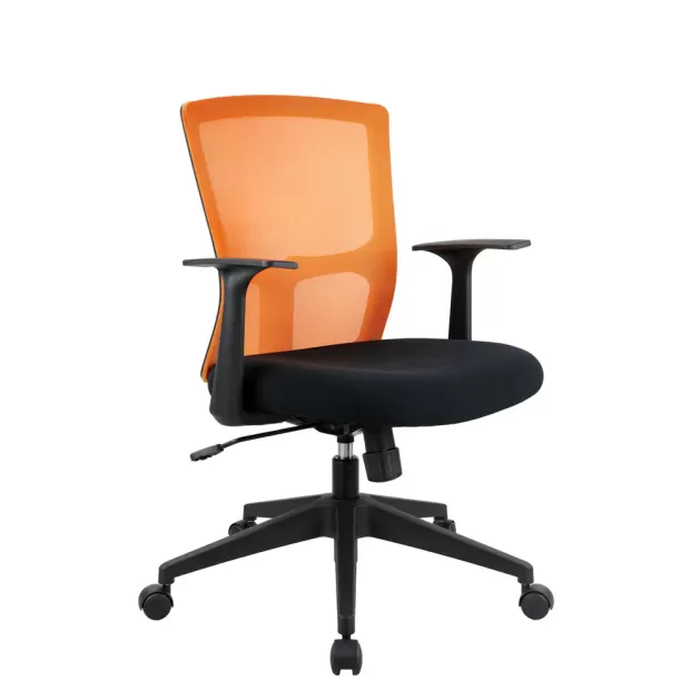 KN02STG_045s.webp