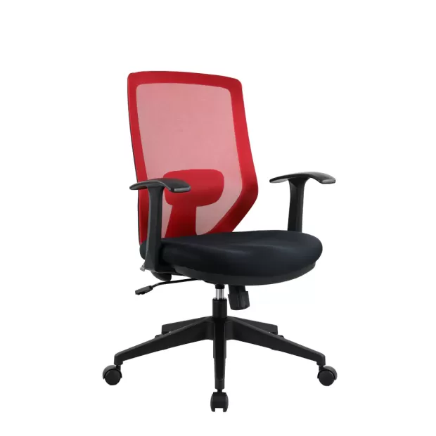 WS02STG_045s.webp