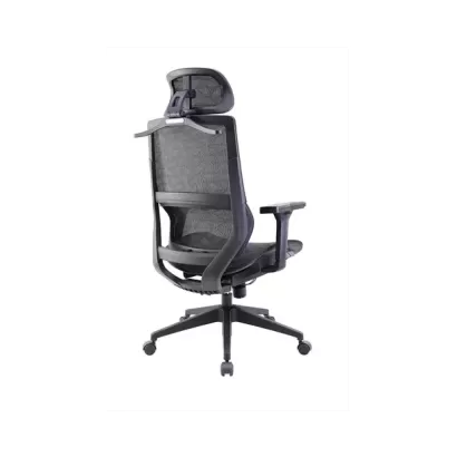 BF01SG_135s.webp