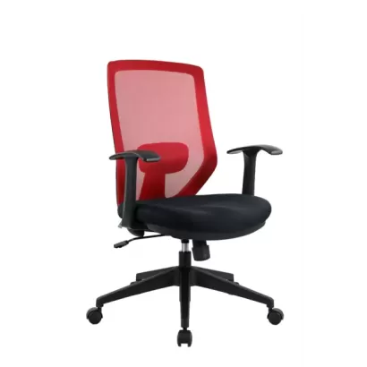 WS02STG_045s.webp